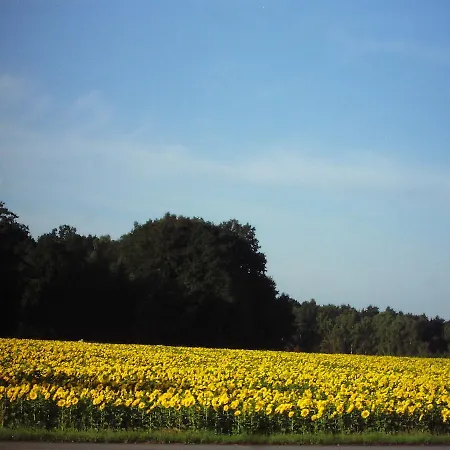 Land Gut Dierks Hotel Repke