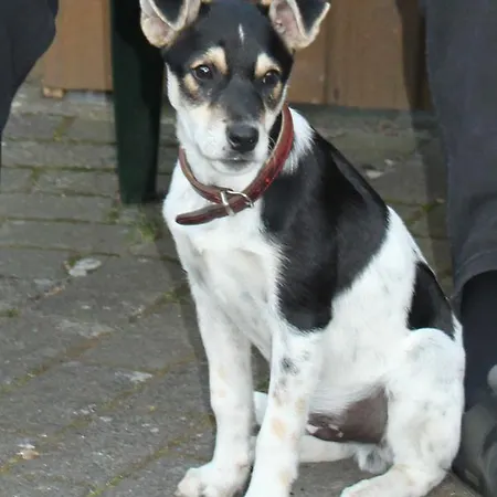 Land Gut Dierks Hotel Repke